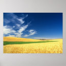 Search for wheat harvest posters Landscape