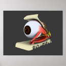 Search for single object posters Biology