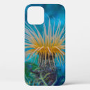 Search for aquatic life iphone cases Sea