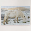 Search for pony puzzles Farm