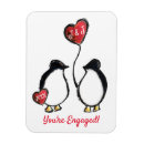 Search for penguin magnets Balloon