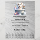 Search for dog grooming promotion flyers Pets