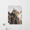 Search for furry valentines day cards Cat