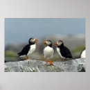 Search for group posters Canada