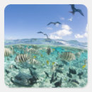 Search for lagoon stickers Tropical