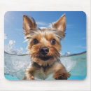 Search for yorkshire terrier mouse mats Animal
