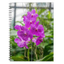 Search for orchid notebooks Pink