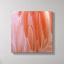 Search for flamingo canvas prints Abstract