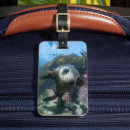 Search for scuba travel accessories Australia