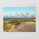 Search for oats postcards Beach