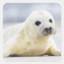 Search for photo envelope seals Cute