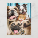 Search for dog and cat invitations Humour