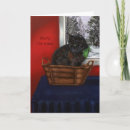 Search for cat basket cards Green