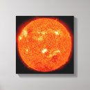 Search for activity canvas prints Full sun