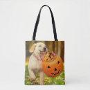 Search for bucket bags Halloween