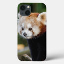Search for cute panda iphone cases Nature