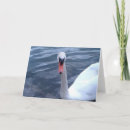 Search for gaze cards Nature
