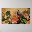 Search for vintage peacock posters Flowers