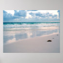 Search for pink sunset posters Tropical