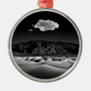 Search for death valley christmas tree decorations Travel