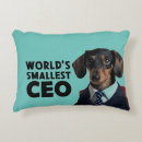 Search for dachshund cushions Funny
