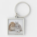 Search for lop key rings Nature