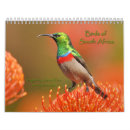 Search for bird calendars Wild birds