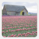 Search for skagit valley stickers Crop