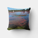 Search for cranberry cushions Harvest