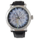 Search for growth watches Africa