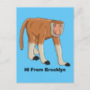 Search for cartoon monkey postcards Ape