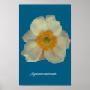 Search for japanese flowers posters Floral