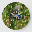 Search for swallowtail art Animal