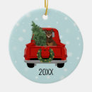 Search for the kelpies christmas tree decorations Australian kelpie