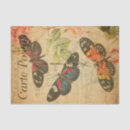 Search for butterfly tissue paper French