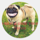 Search for show dog stickers Funny