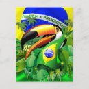 Search for brazil toucan postcards Bird