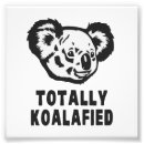 Search for koala bear posters Humour