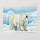 Search for watercolor bear postcards Snow