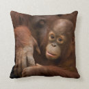 Search for orangutan cushions Monkey