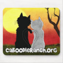 Search for charities electronics Cats