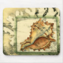 Search for shell beach mouse mats Nature