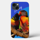 Search for rainbow lorikeet electronics Australia