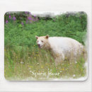 Search for wilderness mouse mats Bear