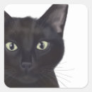 Search for cat stickers Black cats