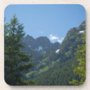 Search for pacific northwest coasters Forest