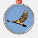 Search for red tail hawk christmas tree decorations Raptors