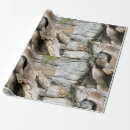 Search for otter wrapping paper Mustelids