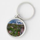 Search for variation key rings Colour image