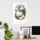 Search for cockatoo art posters White